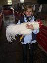Muenster 2008 548